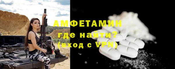 соль ск Дмитриев