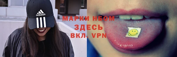 ПСИЛОЦИБИНОВЫЕ ГРИБЫ Елизово