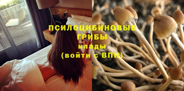мяу мяу кристалл Ельня