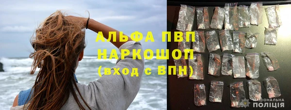 мяу мяу кристалл Ельня